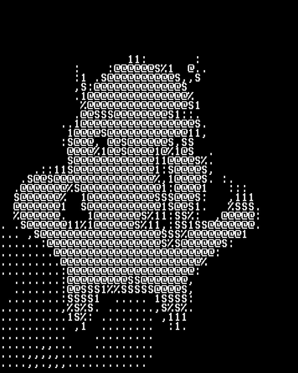 ASCII art effect on a wide-angle portrait of a woman looking up at the camera, made with the ASCII filter in Filter Archive (Terminal preset)