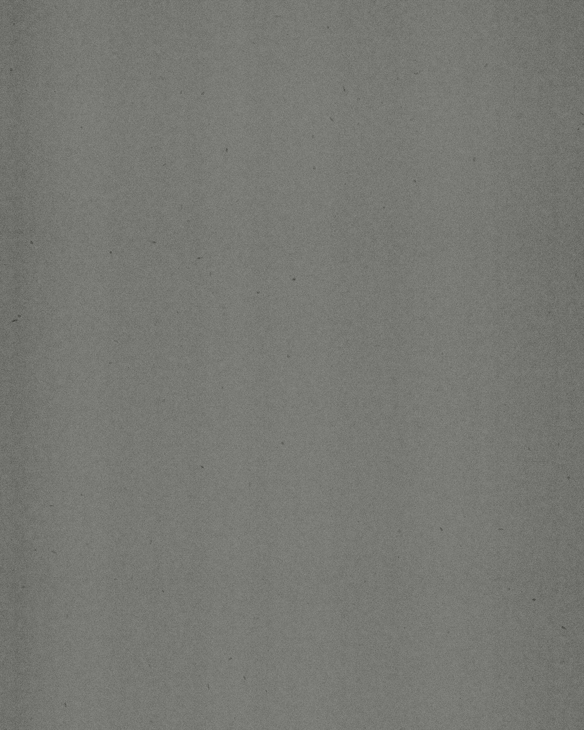 Photocopy texture made with the Photocopy Noise generator in Filter Archive (White Backing preset)
