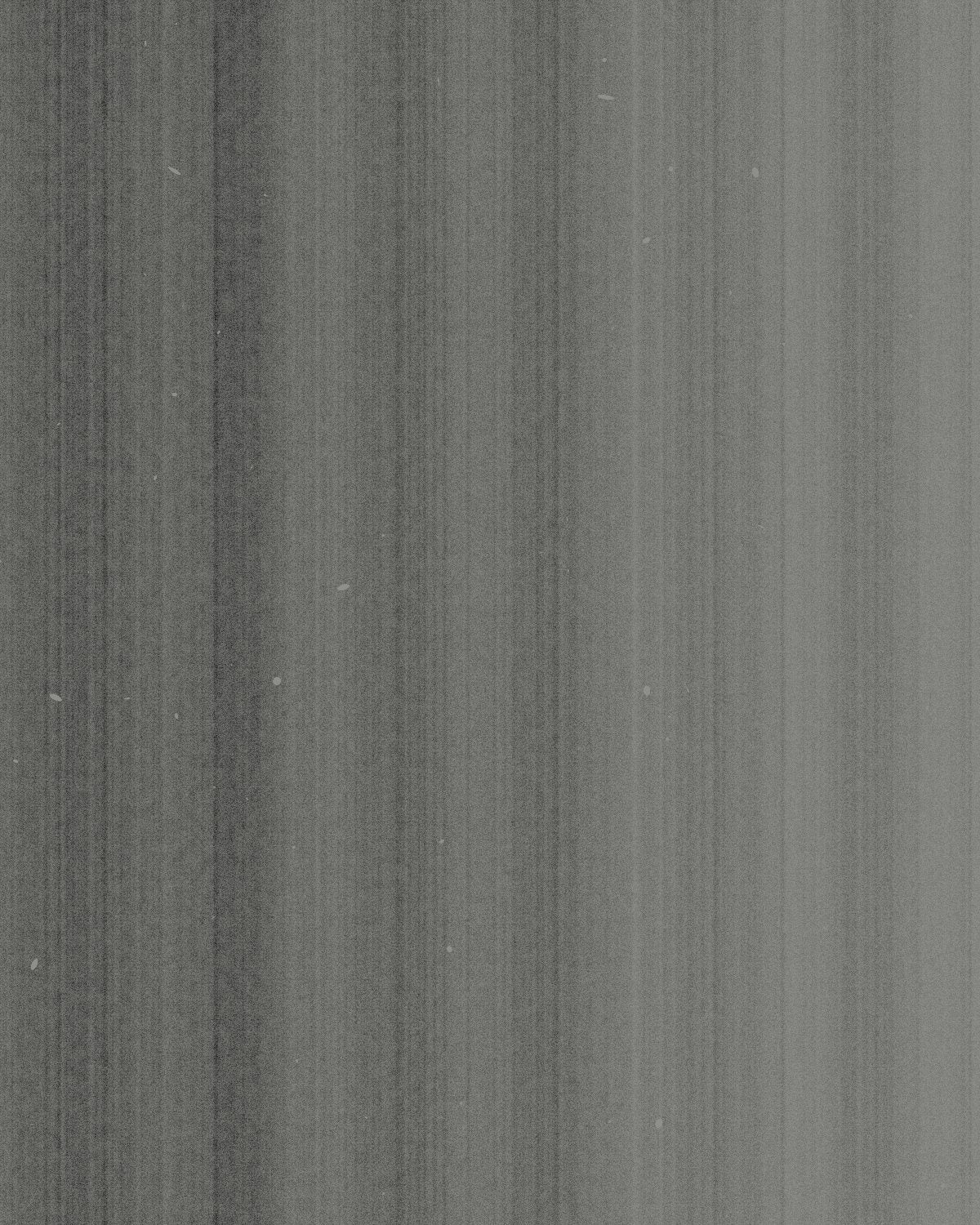 Photocopy texture made with the Photocopy Noise generator in Filter Archive (Edge Wash preset)