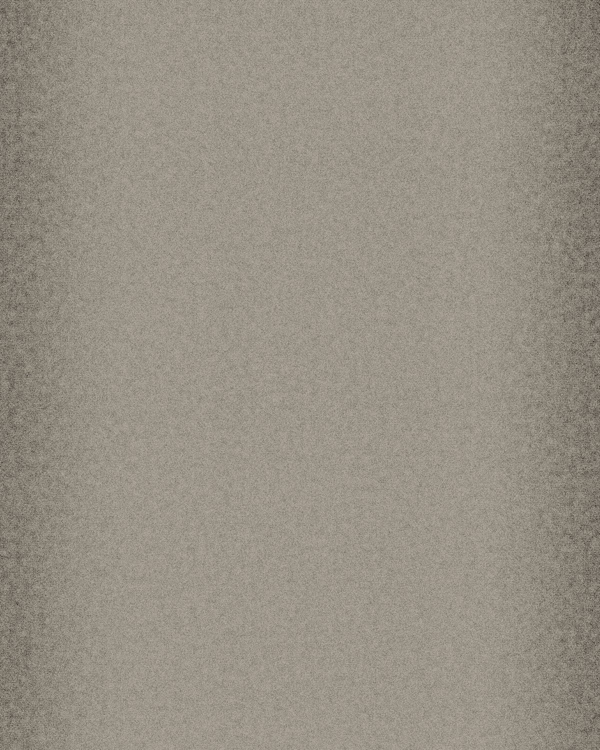 Photocopy texture made with the Photocopy Noise generator in Filter Archive (Warm Grey Ground preset)