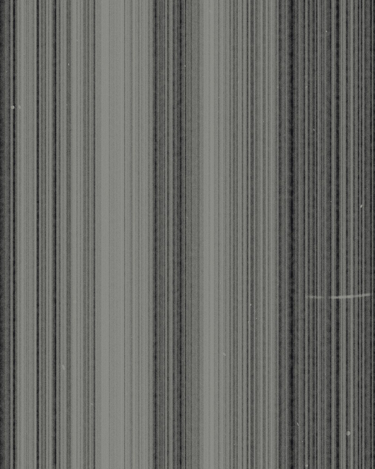 Photocopy texture made with the Photocopy Noise generator in Filter Archive (Streak Sheet preset)