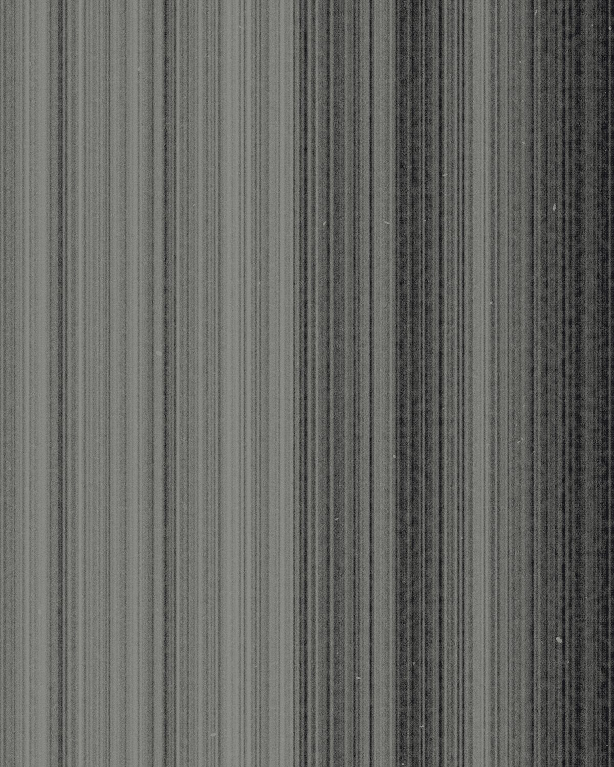 Photocopy texture made with the Photocopy Noise generator in Filter Archive (Streak Sheet preset)