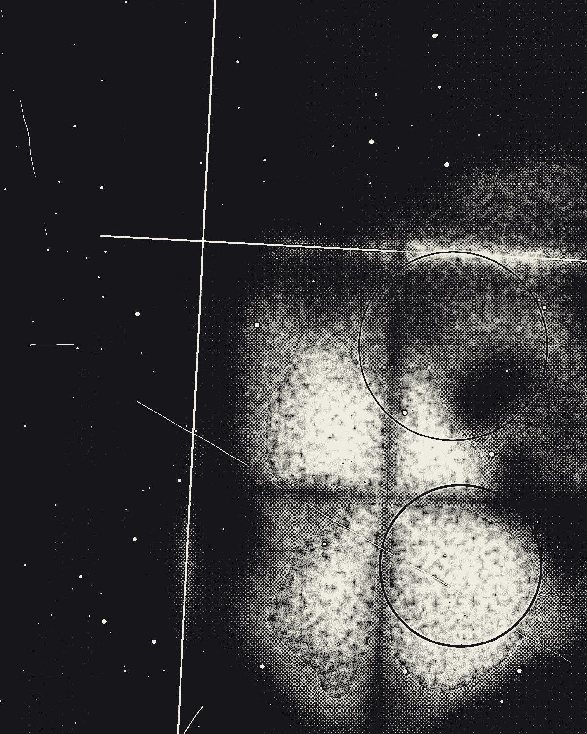 Xerox texture made with the Xerox generator in Filter Archive (Third Generation preset)