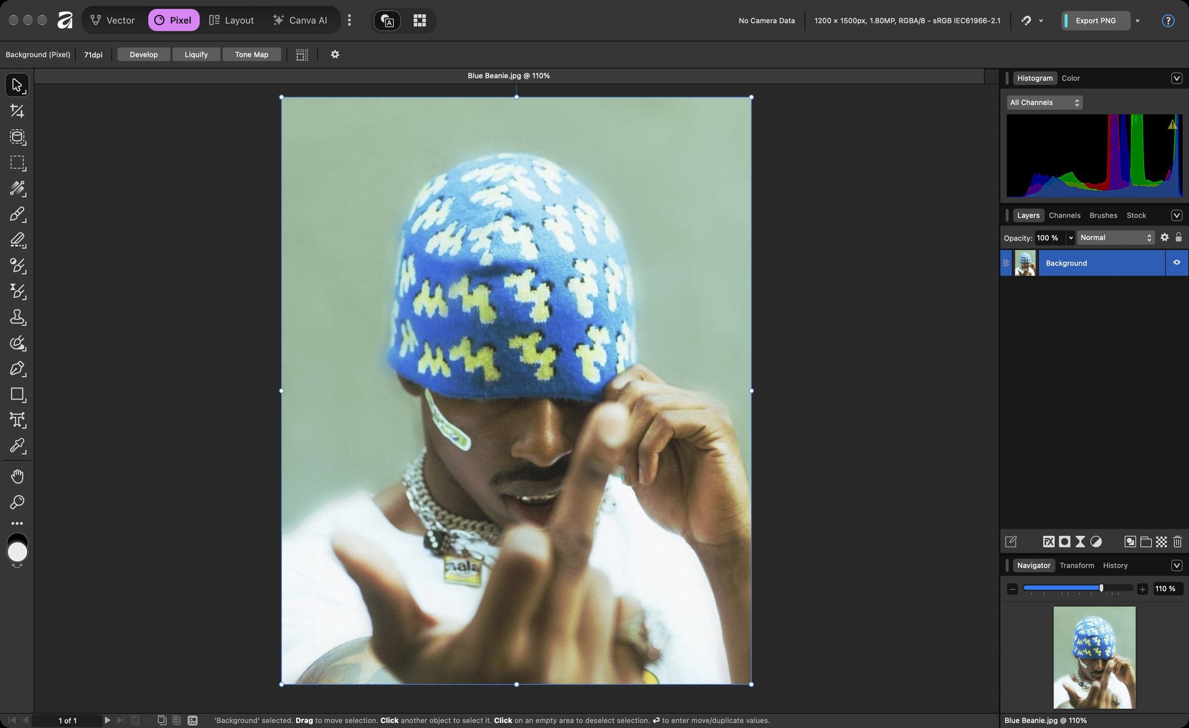 Affinity with a photo open in the Pixel workspace